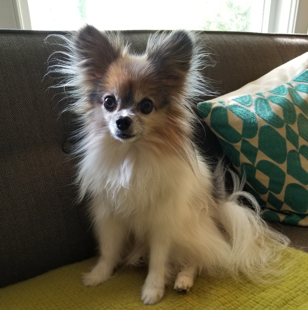 Meet your Posher, Angela